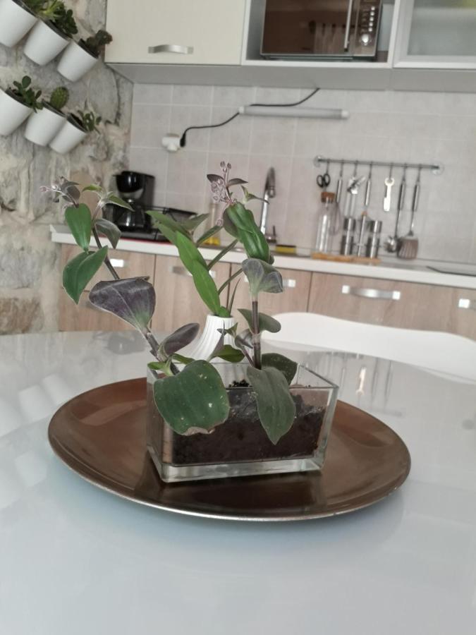 Leut Apartment Korčula Dış mekan fotoğraf
