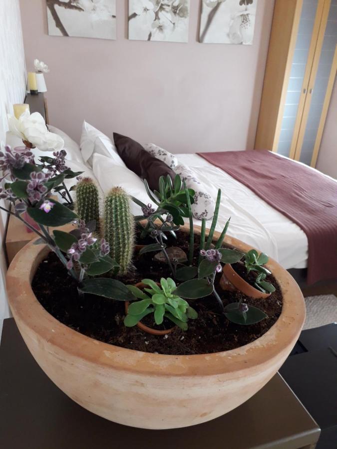 Leut Apartment Korčula Dış mekan fotoğraf